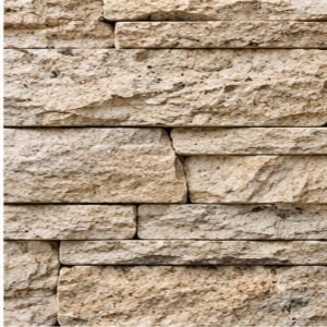 Foliage 24 Designer Stone Tile